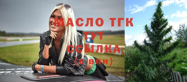 шишки Медногорск