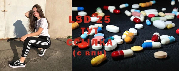 ГАЛЛЮЦИНОГЕННЫЕ ГРИБЫ Магадан