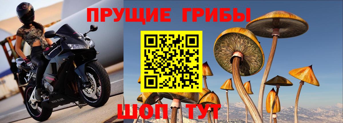 Туапсе  Псилоцибиновые грибы мухоморы  Вход с VPN 